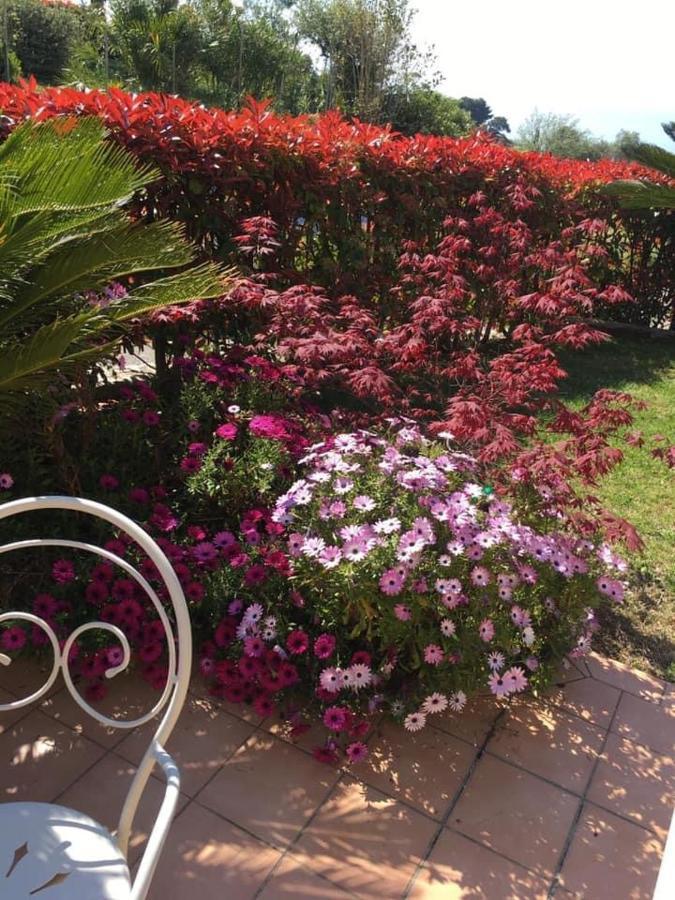 Villa Gaia - Luxury Villa, Pool & Wellness Rooms Bordighera Exterior foto